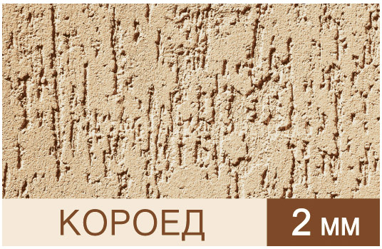 Короед